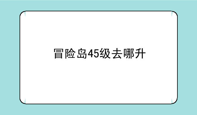 冒险岛45级去哪升