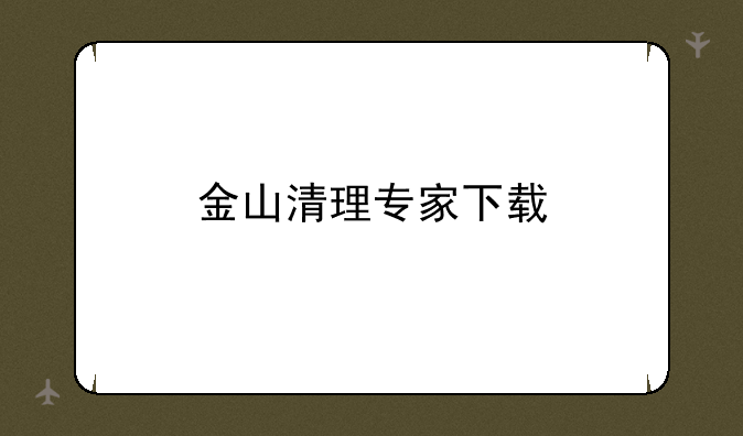 金山清理专家下载
