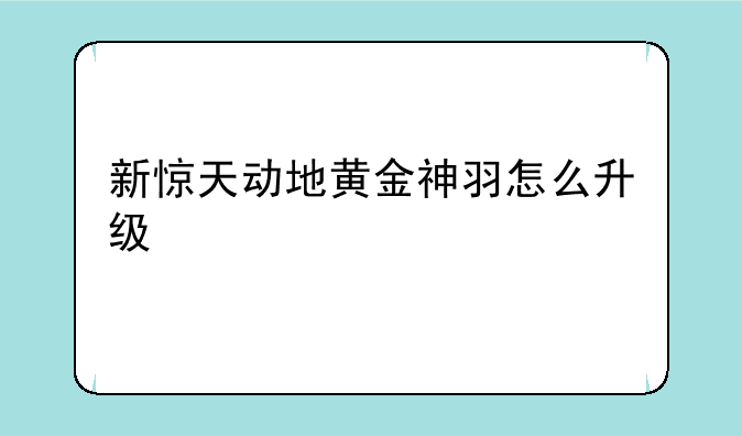 新惊天动地黄金神羽怎么升级