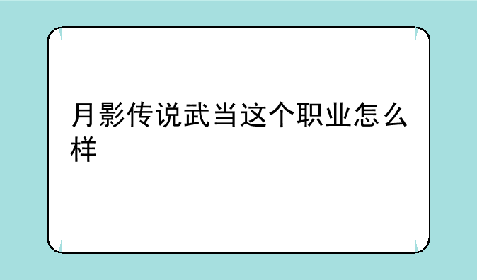 月影传说武当这个职业怎么样