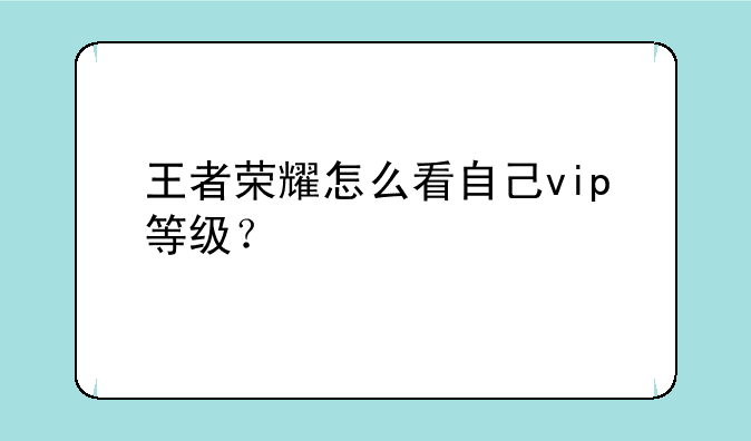 王者荣耀怎么看自己vip等级？