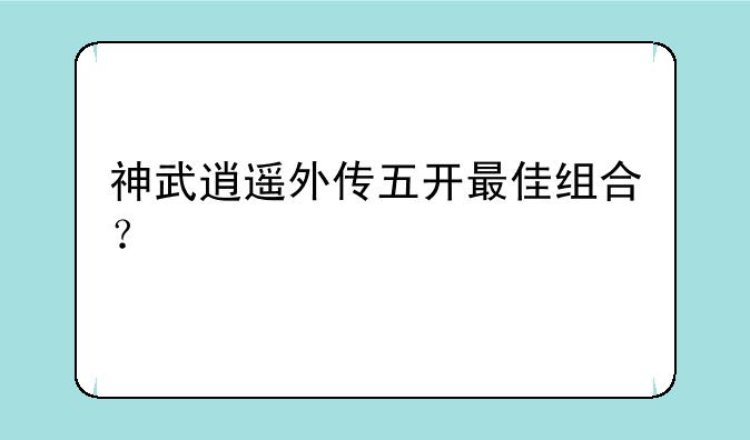 神武逍遥外传五开最佳组合？
