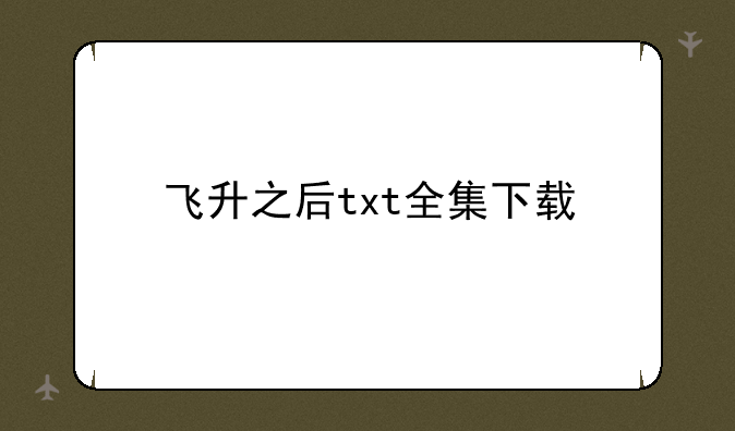 飞升之后txt全集下载