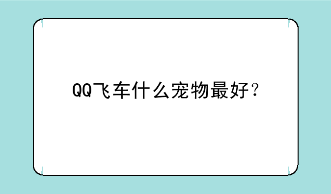 QQ飞车什么宠物最好？