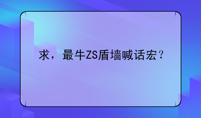 求，最牛ZS盾墙喊话宏？