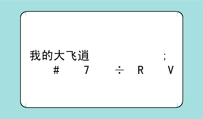 我的大飞透视怎么不能用啊
