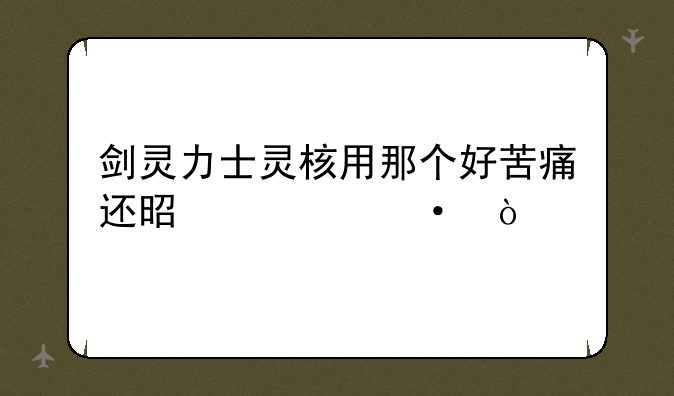 剑灵力士灵核用那个好苦痛还是毁灭？