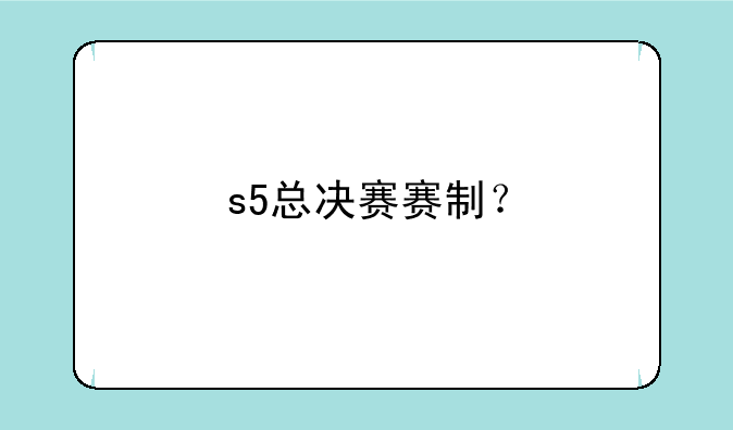 s5总决赛赛制？