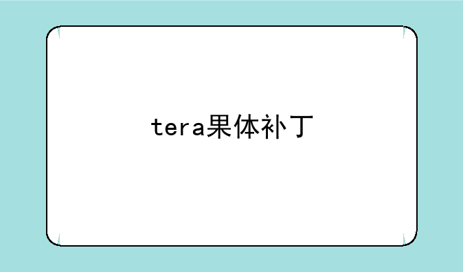 tera果体补丁