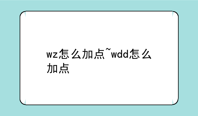 wz怎么加点~wdd怎么加点