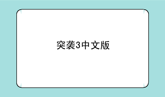 突袭3中文版