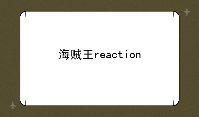 海贼王reaction
