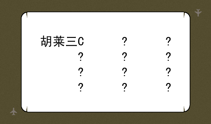 胡莱三国装备加制效果--胡莱三国套装