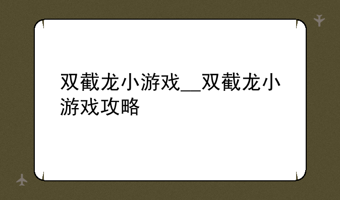 双截龙小游戏__双截龙小游戏攻略
